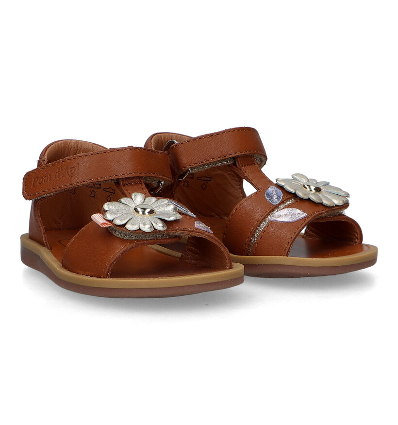Pom d'Api Poppy Daisy Sandales pour bébé en Or rosé pour filles (337987)