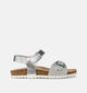 Geox Obnew J Adriel Zilveren Sandalen voor meisjes (370113)