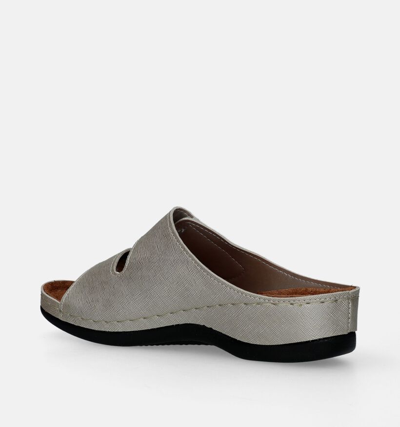 Comfort Plus Gouden Slippers voor dames (296440)