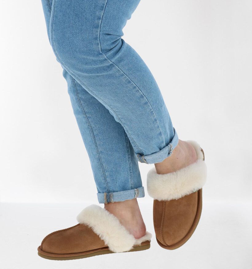 Bullboxer Cognac Pantoffels in wol (292876)