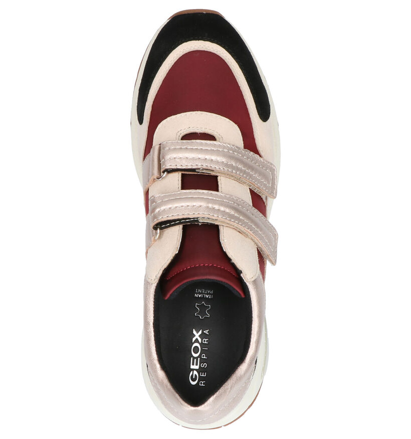 Geox Baskets basses en Beige foncé en cuir (255269)