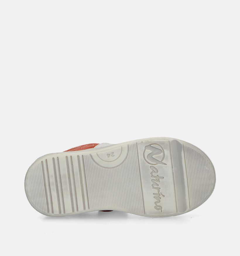 Naturino Trajan Zip Witte Lage schoenen voor jongens (339289) - geschikt voor steunzolen