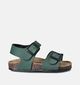 Biomodex Donkergroene Sandalen voor jongens, meisjes (356228)