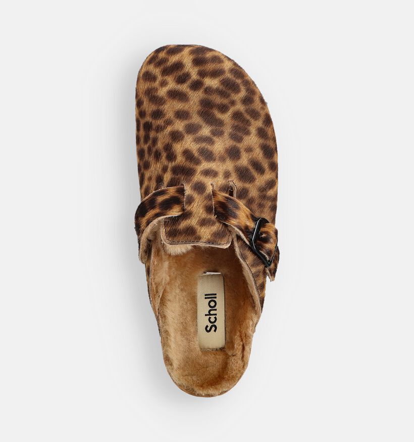 Scholl Bruine/Leopard Gesloten Slippers voor dames (364555)