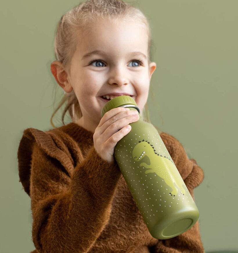 Trixie Mr. Dino Groene Drinkfles 500 ml voor jongens, meisjes (347405)
