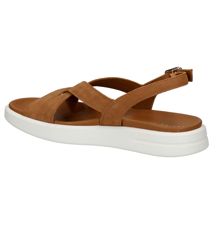 Geox Cognac Sandalen in nubuck (285587)