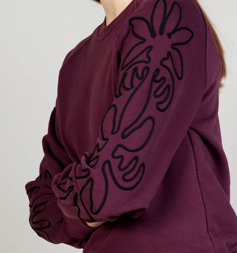 Mexx Paarse Trui voor dames (375528)