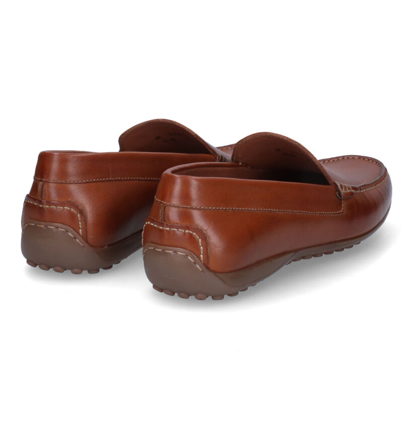 Ambiorix Corsica Mocassins en Cognac pour hommes (324848)