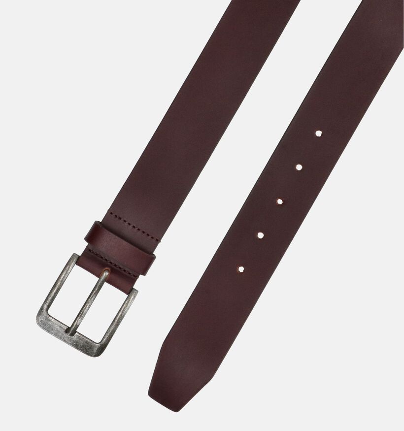 Via Borgo Ceinture en Marron fonc&eacute; pour hommes (381271)