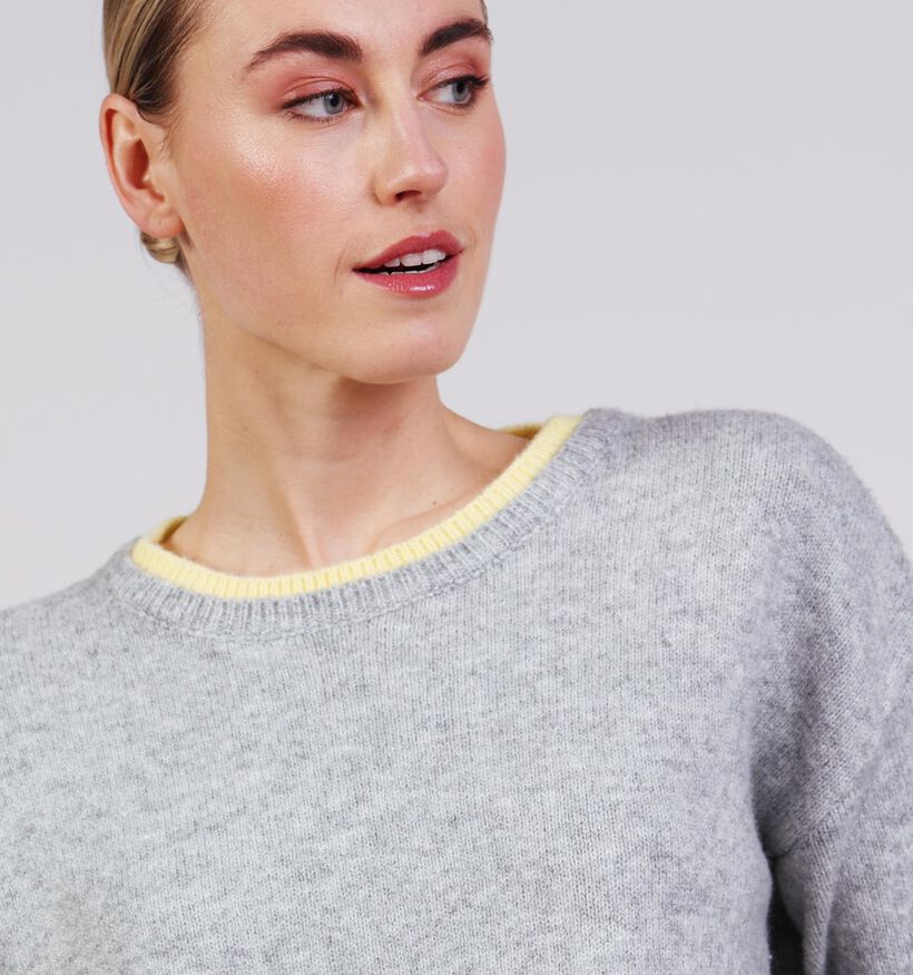 Ador&eacute; Sandra Lichtgrijze Trui voor dames (376745)