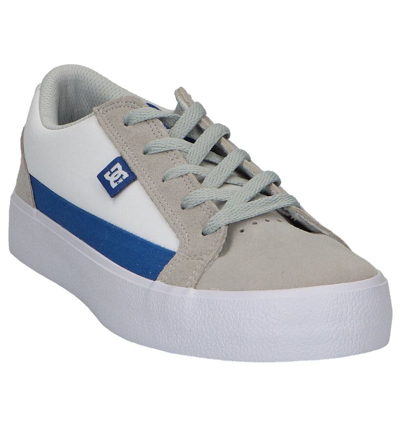 DC Shoes Baskets de skate en Multicolore en daim (250809)