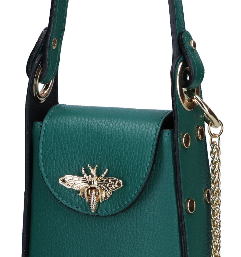 Dolce C. Groene Handtas voor dames (324258)