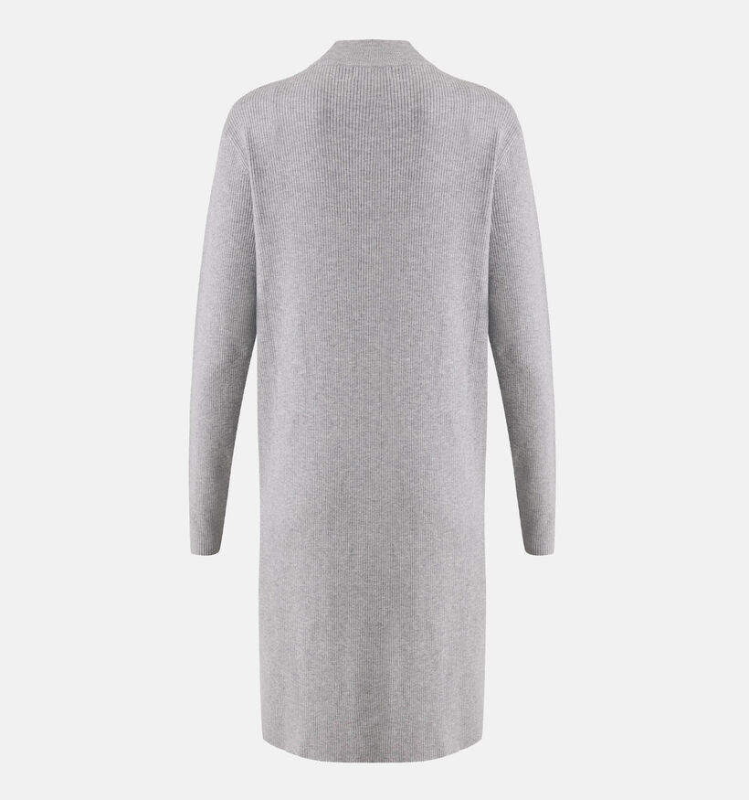 Mexx Robe en tricot en Gris pour femmes (331521)