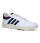 adidas Hoops 3.0 Baskets en Blanc pour hommes (319011)