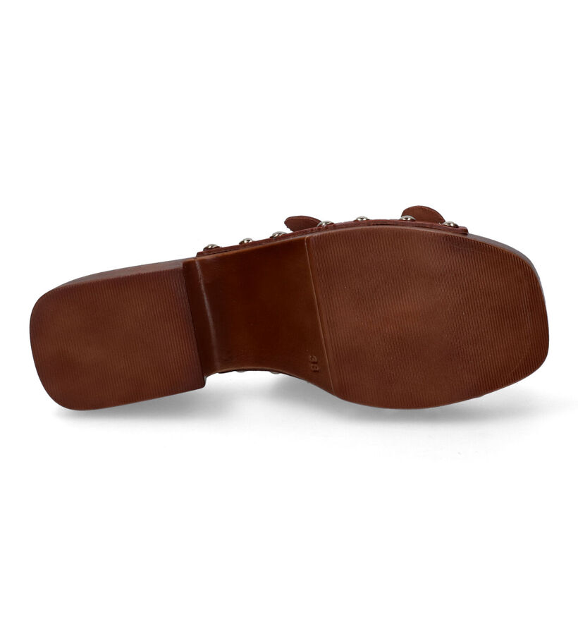 Scapa Cognac Clogs voor dames (307258)