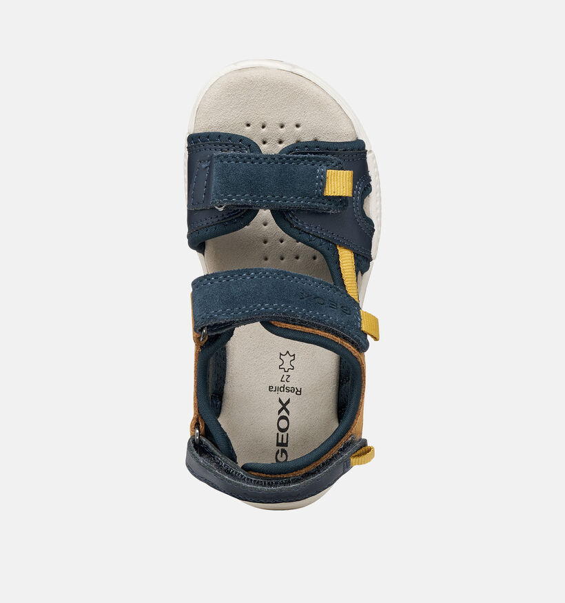 Geox Alben Sandales en Bleu pour gar&ccedil;ons (368869)