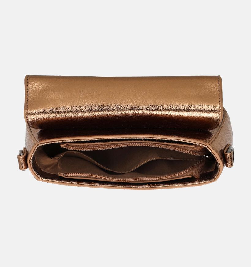 Charm London Sac à main en Bronze pour femmes (353609)