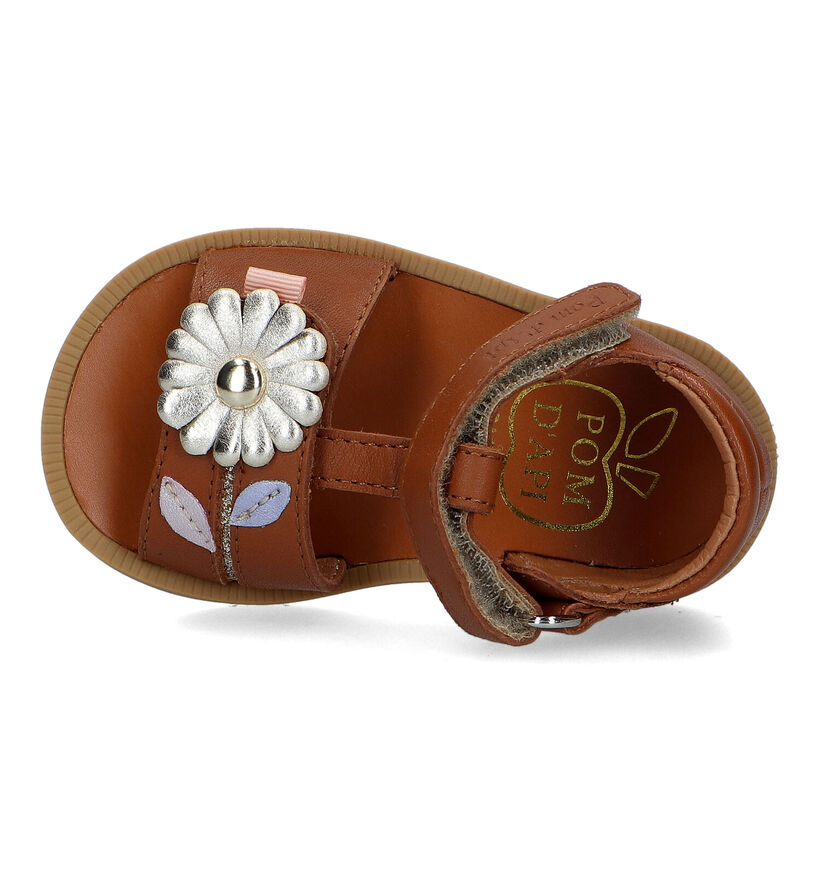 Pom d'Api Poppy Daisy Sandales pour bébé en Or rosé pour filles (337987)