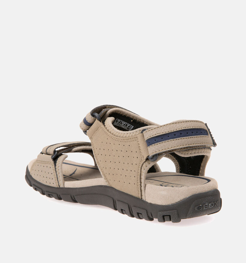 Geox Sandales en Marron pour hommes (368001)