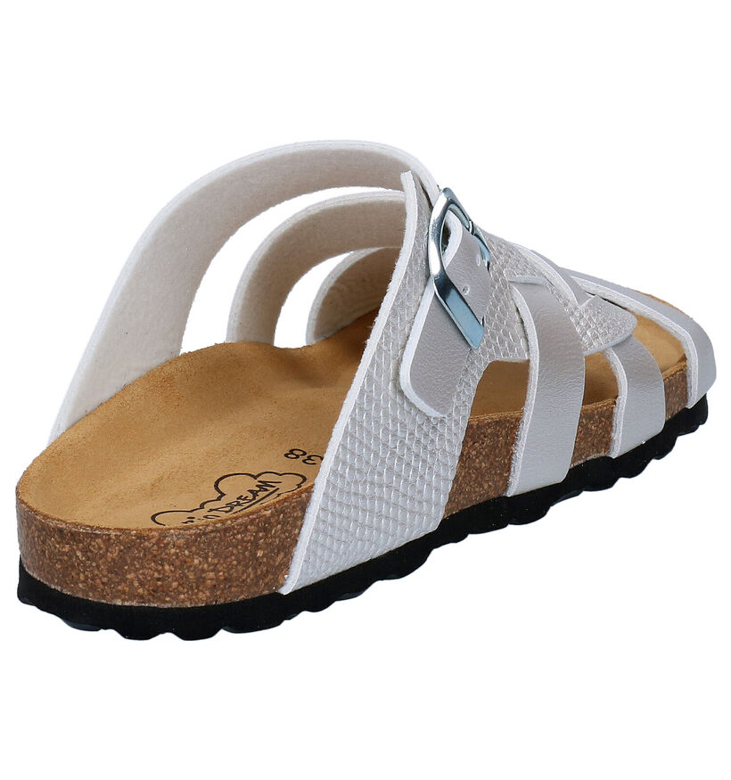 Bio Dream Ecru Slippers in kunstleer (266157)