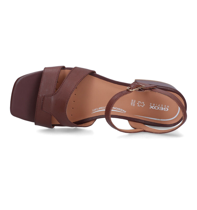 Geox Genziana Sandales en Marron en cuir (321140)