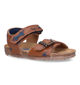 STONES and BONES Losto Blauwe Sandalen in leer (322100)
