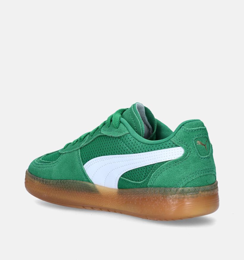 Puma Palermo Moda Vintage Baskets en Vert pour femmes (345379)