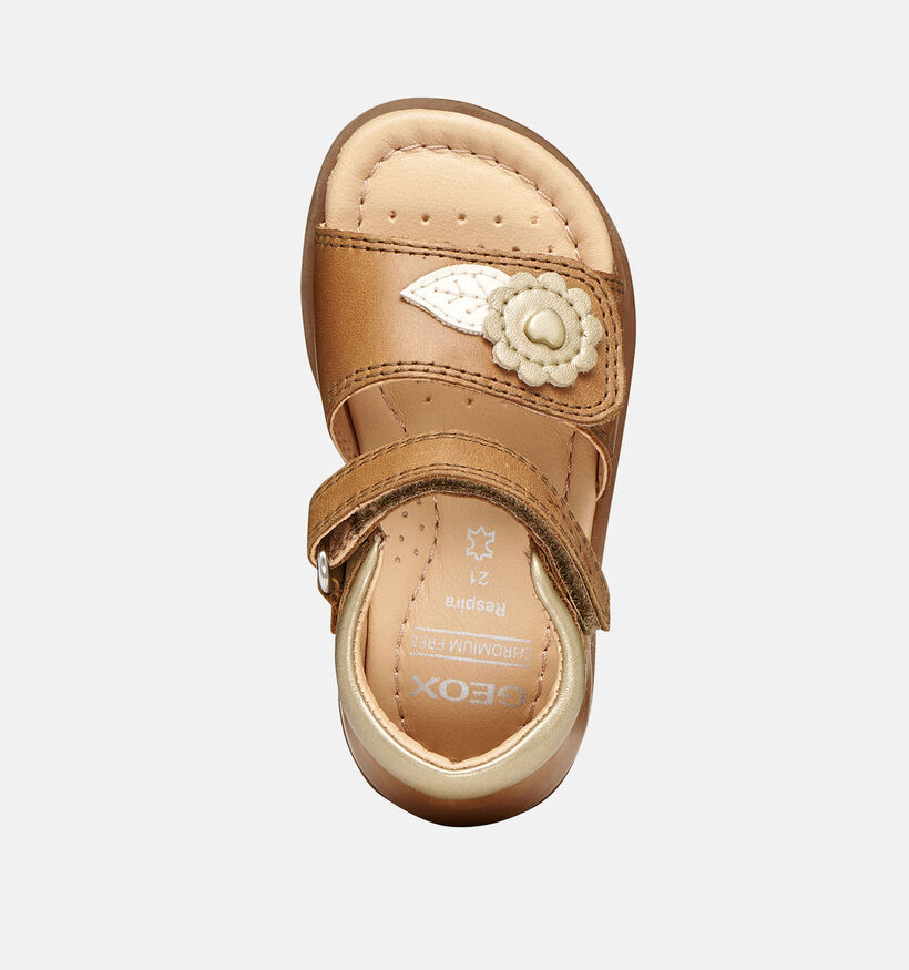 Geox Verred Sandales pour b&eacute;b&eacute; en Camel pour filles (368872)