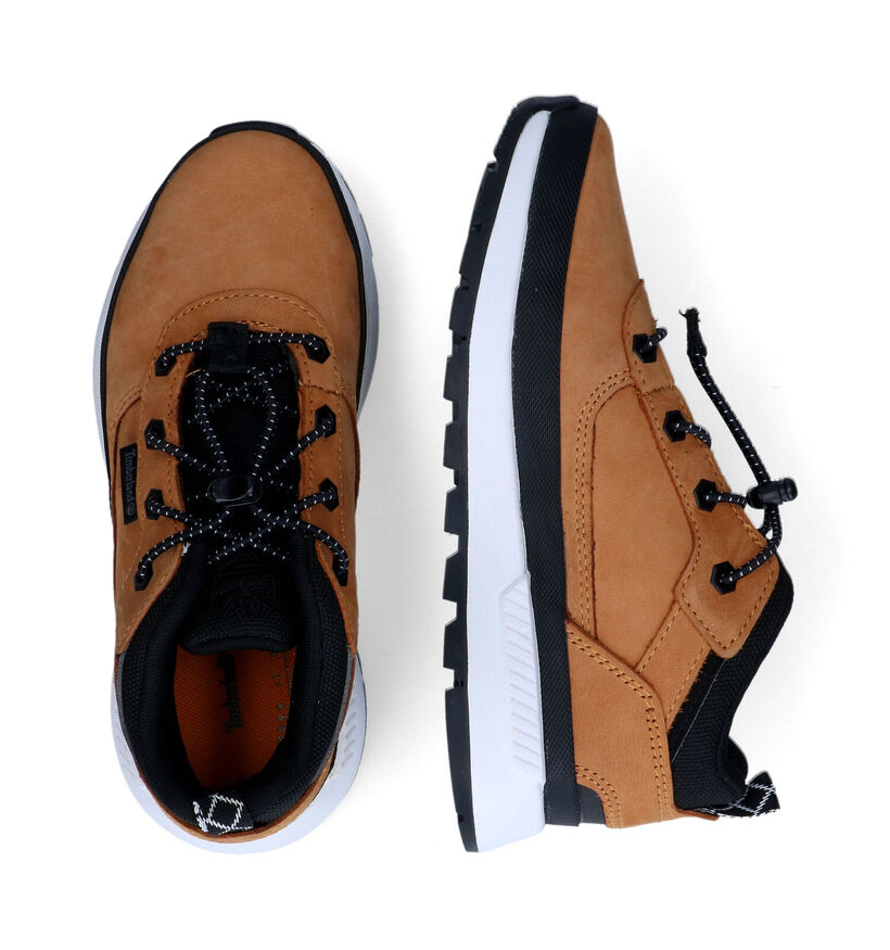 Timberland Field Tracker Low Bottines en Cognac pour garçons (329079) - pour semelles orthopédiques