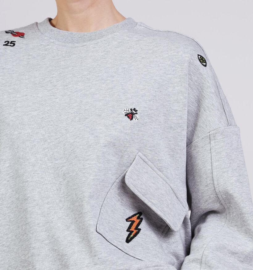 Ador&eacute; Soraya Lichtgrijze Sweater voor dames (376748)