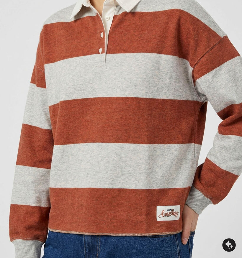 The Shirt Project Grijze/Rode Sweater voor dames (381897)