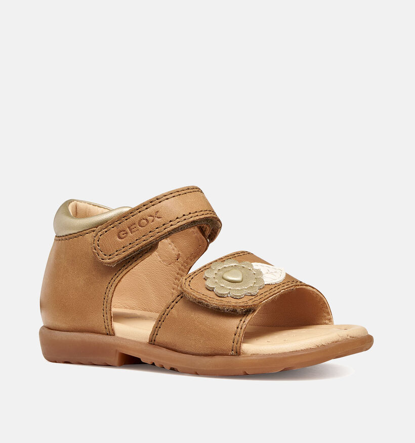 Geox Verred Sandales pour b&eacute;b&eacute; en Camel pour filles (368872)