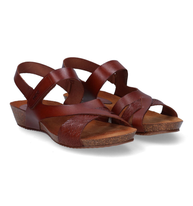 Hee Cognac Sandalen in leer (305324)