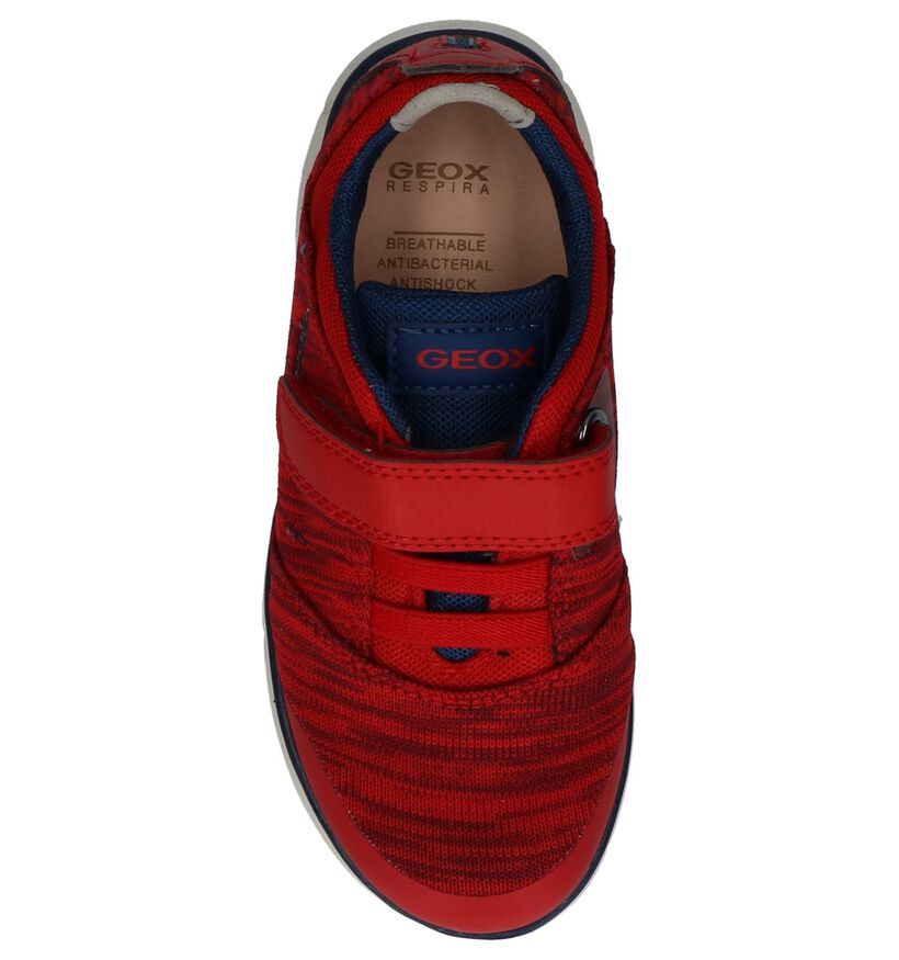 Geox Baskets basses en Rouge en textile (210536)