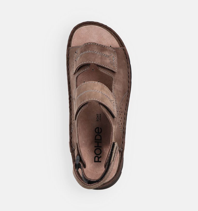 Rohde Sandales en Brun fonc&eacute; pour hommes (371005)