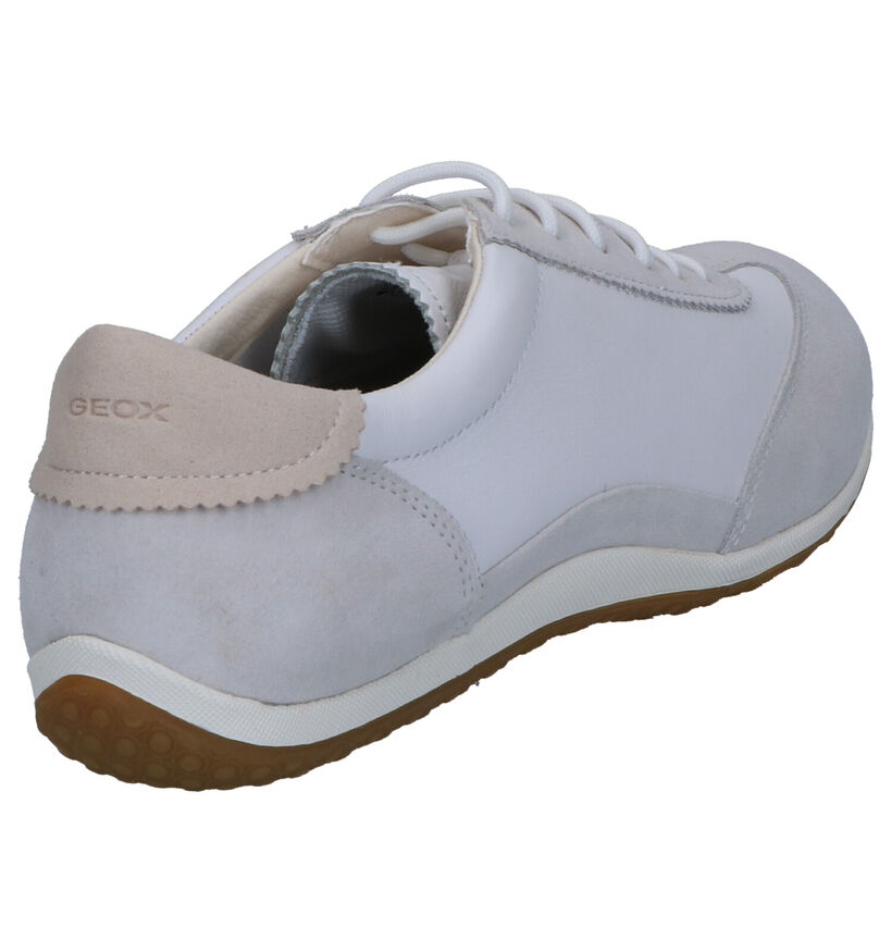 Geox Vega Witte Veterschoenen in daim (266857)