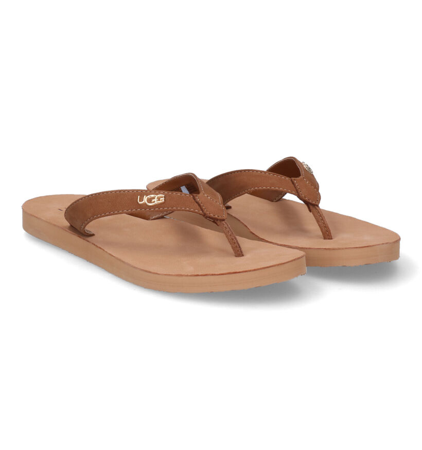 UGG Tawney Logo Cognac Teenslippers in nubuck (303418)