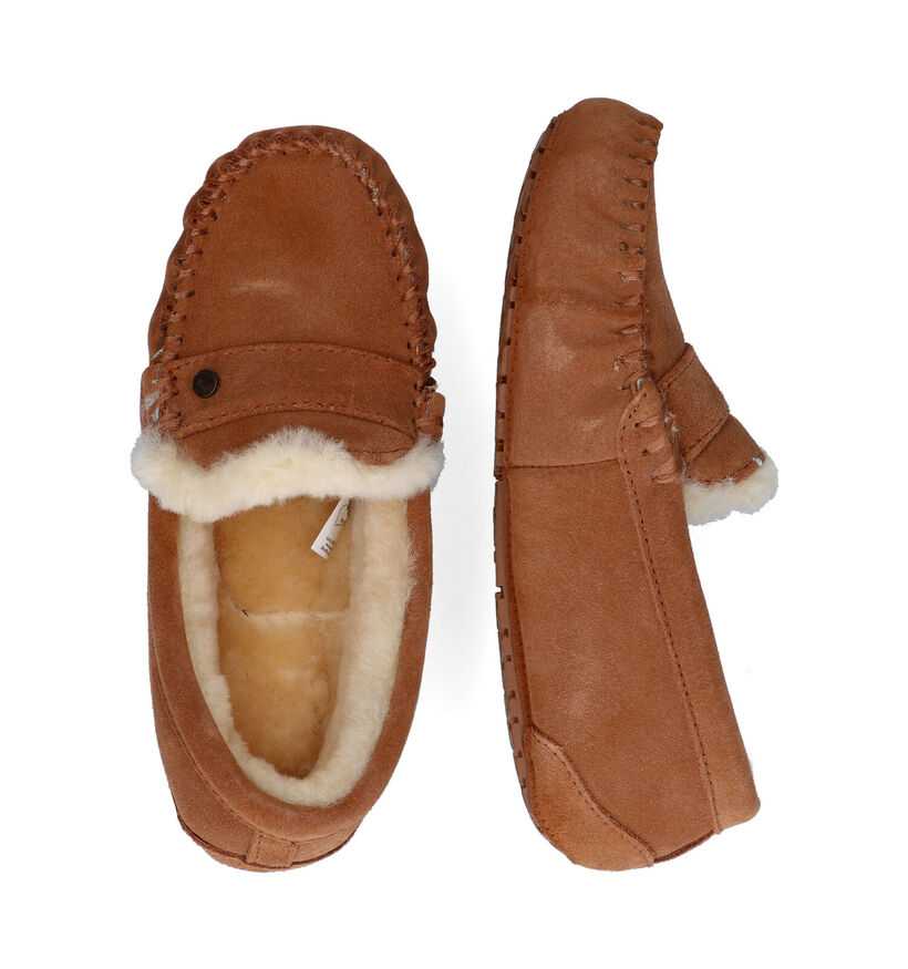 Warmbat Nowra Pantoufles en Cognac pour femmes (315167)