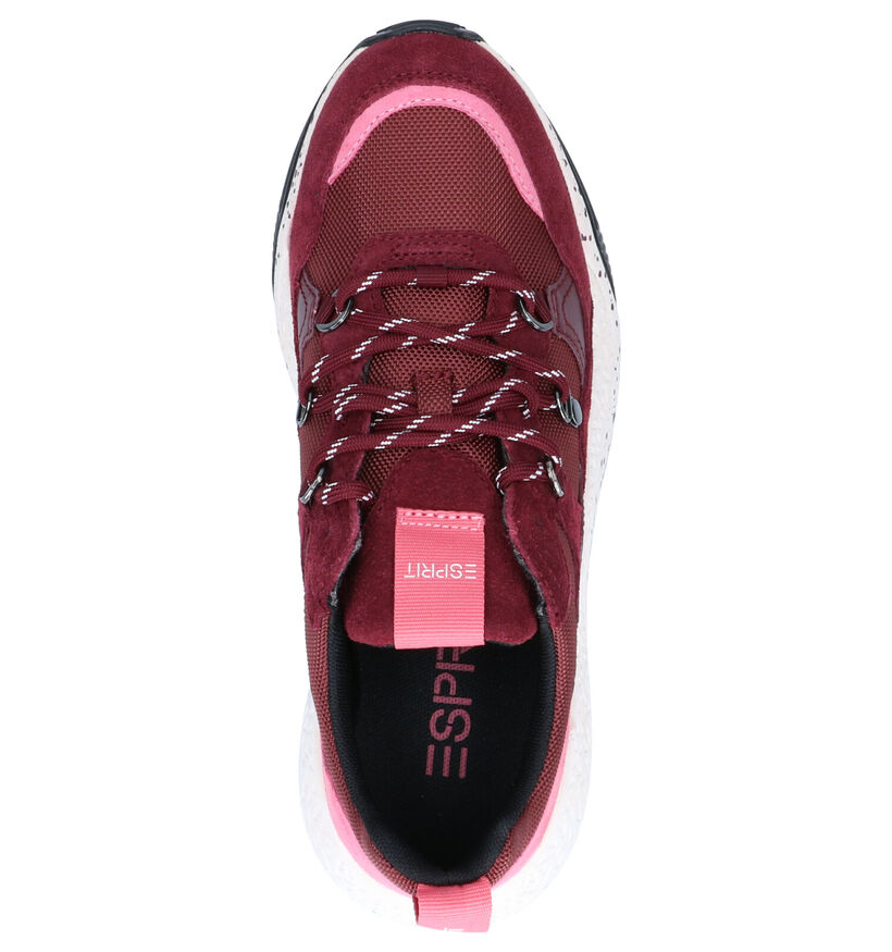 Esprit Bordeaux Sneakers in daim (259346)