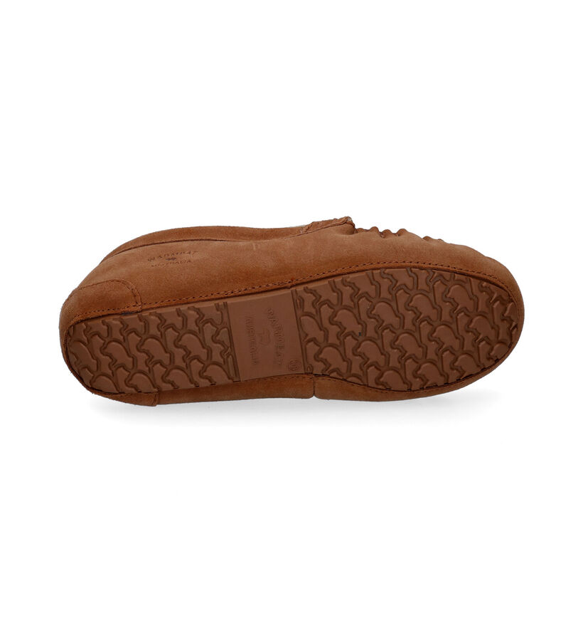 Warmbat Nowra Pantoufles en Cognac pour femmes (296206)