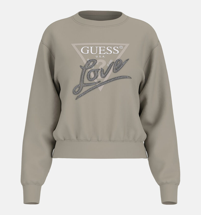 Guess Love Taupe Trui voor dames (361105)
