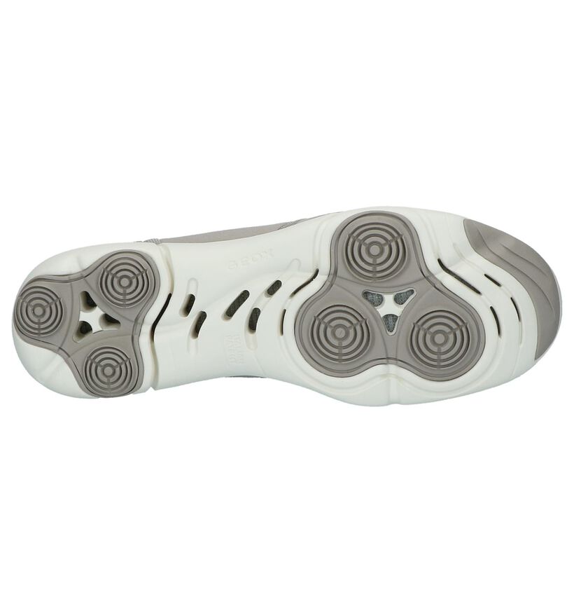 Geox Baskets basses en Gris clair en daim (220211)