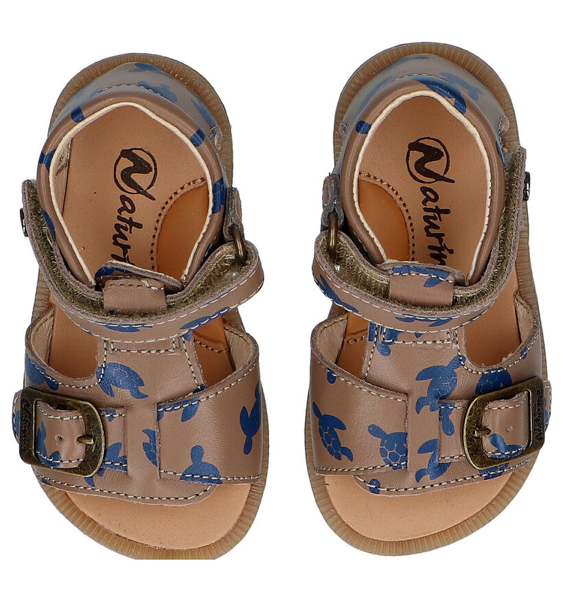 Naturino Quarzo Sandales Pour Bébé En Marron | Garçons Chaussons Bébé, Sandales | En Ligne Sur
