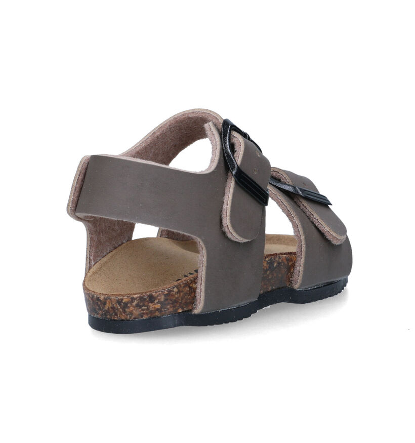 Biomodex Taupe Sandalen in kunstleer (324591)