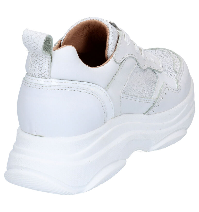 Scapa Witte Sneakers in leer (270350)