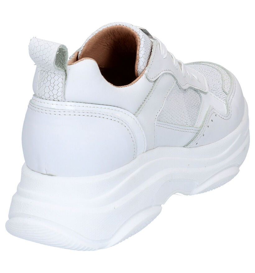 Scapa Chaussures à lacets en Blanc en cuir (270350)