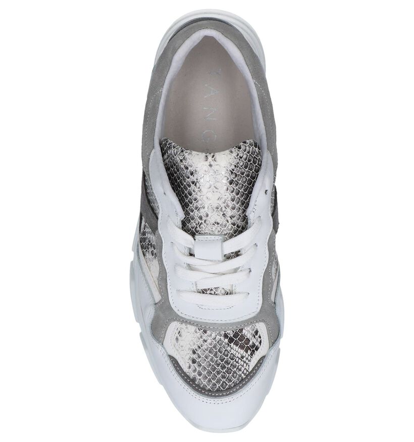 Witte Slangenprint Sneakers Tango Kady 1 in daim (252195)