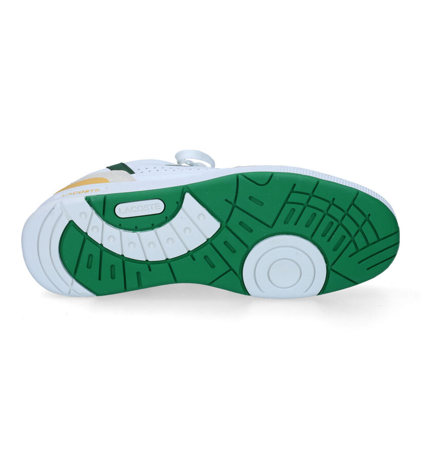 Lacoste T-Clip Baskets en Bleu pour hommes (305640)