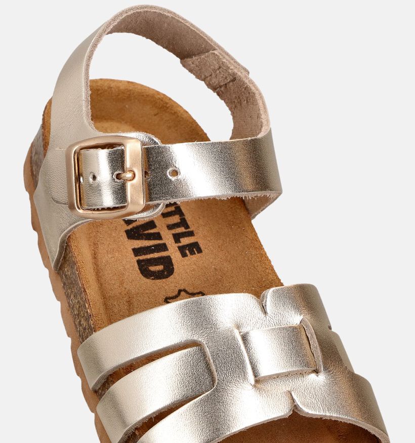Little David Gouden Sandalen voor meisjes (372452)