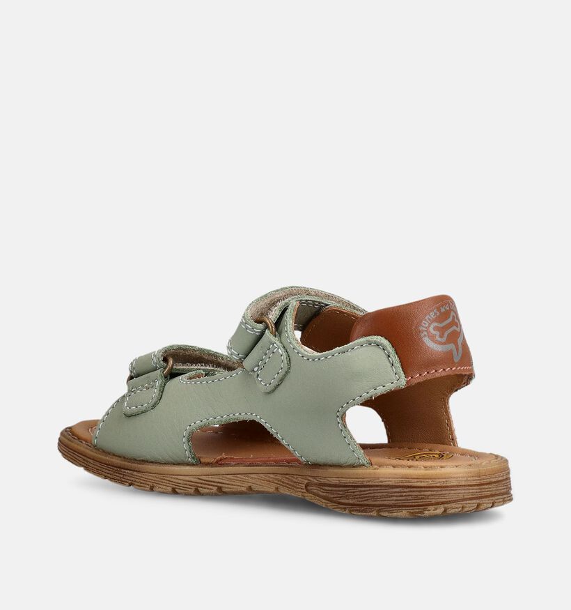 STONES and BONES Dado Groene Sandalen voor jongens (369630)